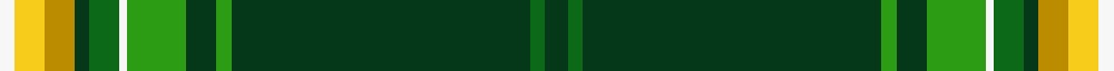 Springbok sett