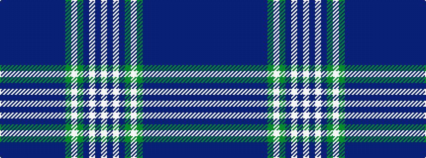 idealised woven sample of pattern BBBBBBBBBBBGWGBWBW
