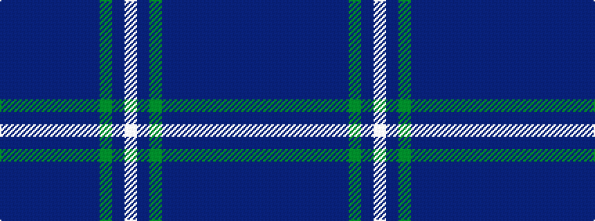 idealised woven sample of pattern BBBBBBBBGBW