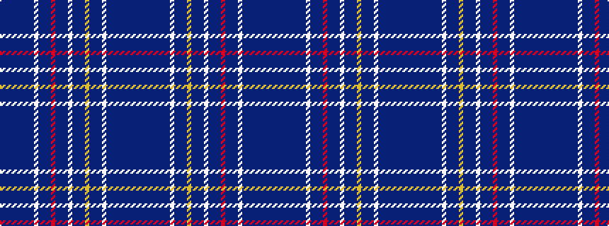 idealised woven sample of pattern BBBBBBBBWBBBRBBBWBBBYBBBWBBBBBBBB