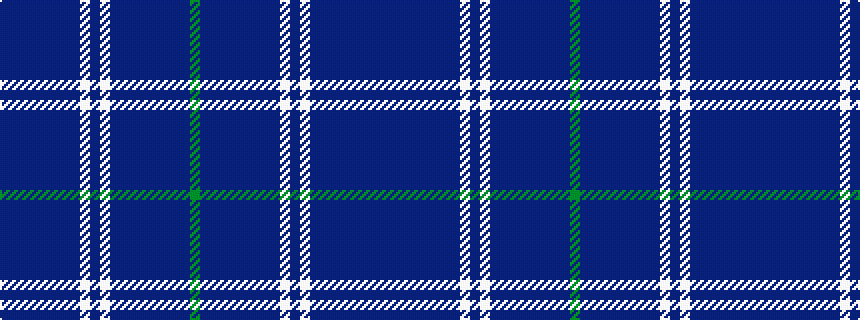 idealised woven sample of pattern BBBBBBBBWBWBBBBBBBBG