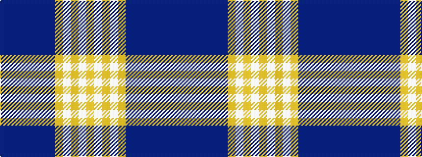 idealised woven sample of pattern BBBBBBBYWYWY