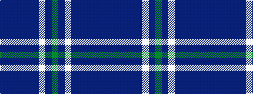 idealised woven sample of pattern BBBBBBWBG
