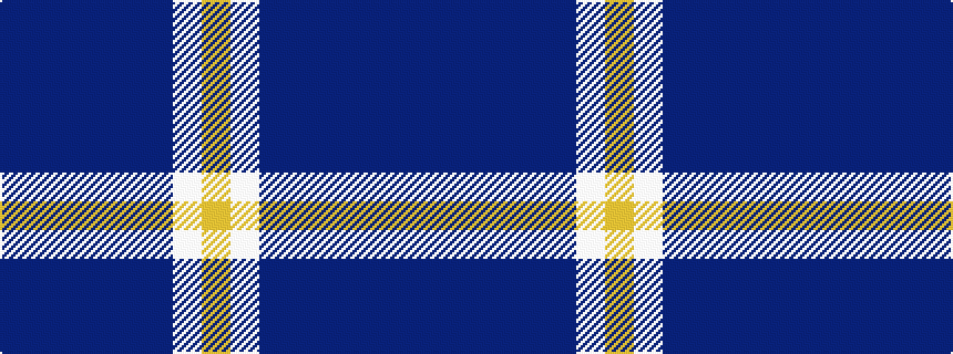 idealised woven sample of pattern BBBBBBWY