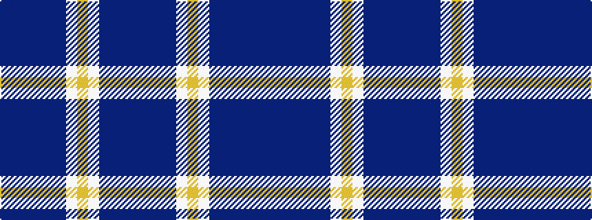 idealised woven sample of pattern BBBBBBWYWBBBB