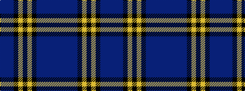 idealised woven sample of pattern BBBBBKYKYKBBB