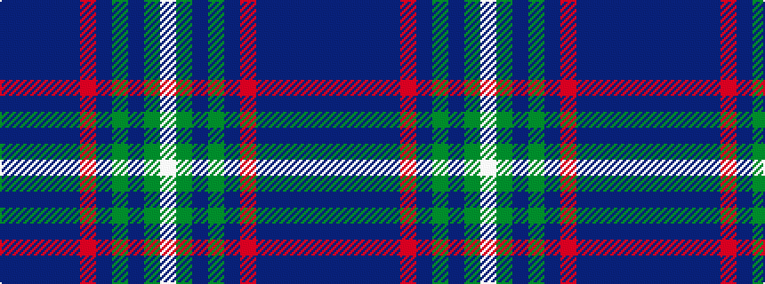 idealised woven sample of pattern BBBBBRBGBGW