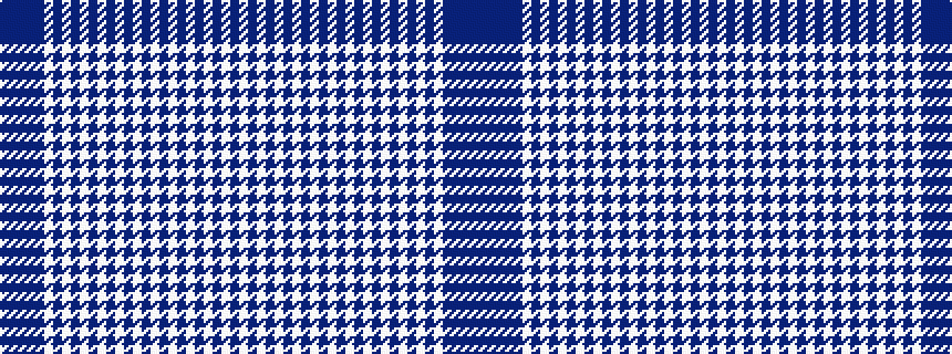 idealised woven sample of pattern BBBBBWBWBWBWBWBWBWBWBWBWBWBW