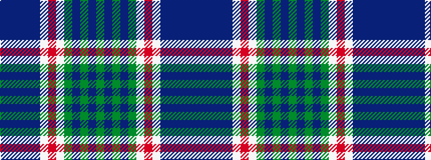 idealised woven sample of pattern BBBBBWRWGBGBG