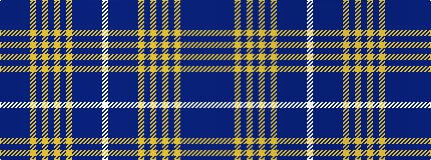 idealised woven sample of pattern BBBBBYBYBYBYBBBBBW