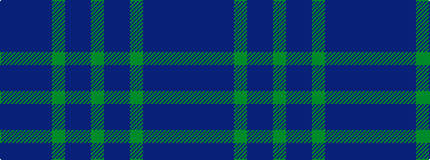 idealised woven sample of pattern BBBBGBBG