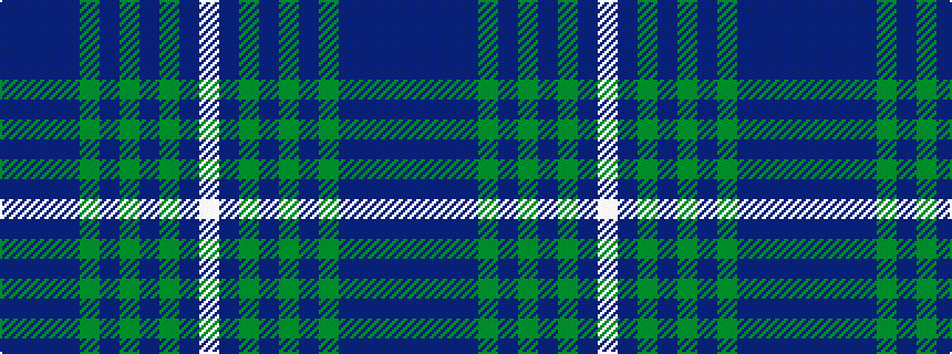 idealised woven sample of pattern BBBBGBGBGBW