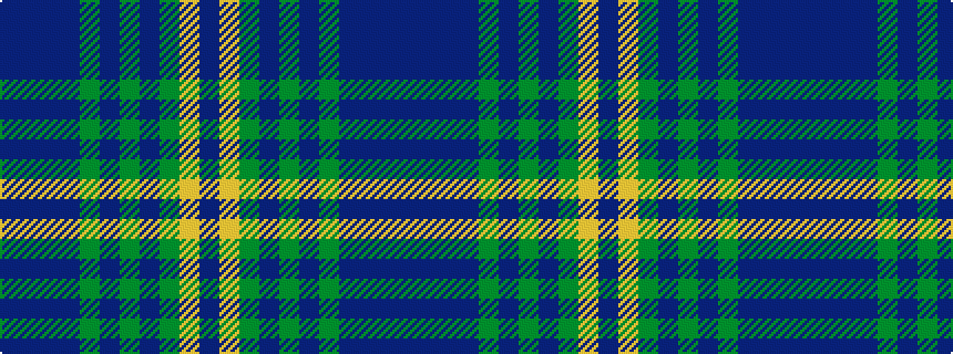 idealised woven sample of pattern BBBBGBGBGYB