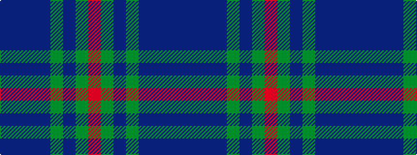 idealised woven sample of pattern BBBBGBGR