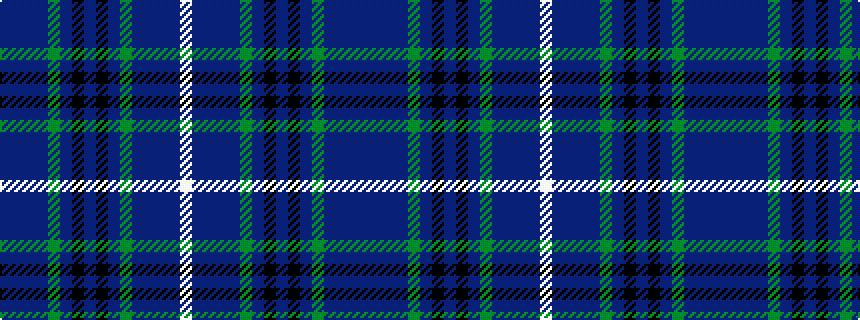idealised woven sample of pattern BBBBGBKBKBGBBBBW