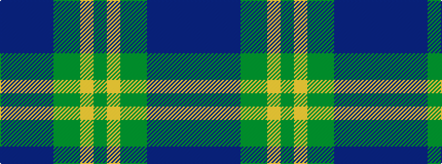 idealised woven sample of pattern BBBBGGYG