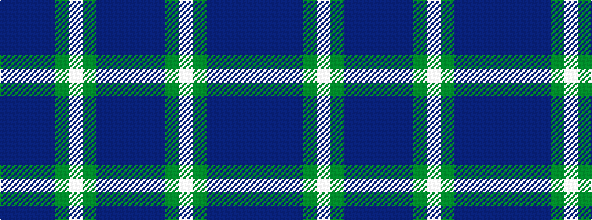 idealised woven sample of pattern BBBBGWGBBB