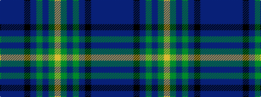 idealised woven sample of pattern BBBBKBGBGY