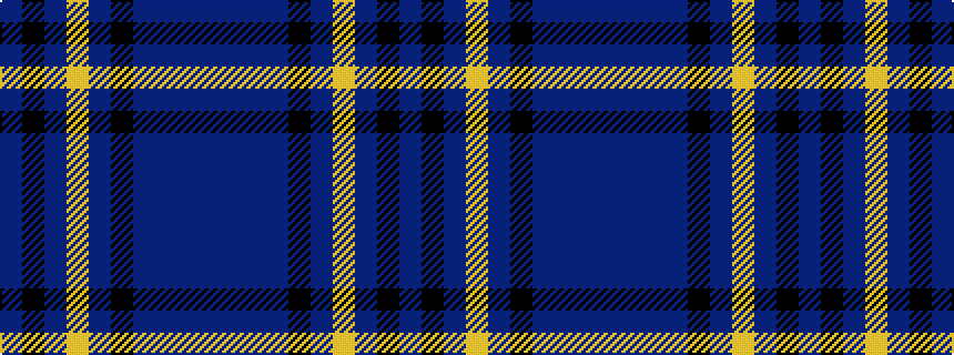 idealised woven sample of pattern BBBBKBYBKB
