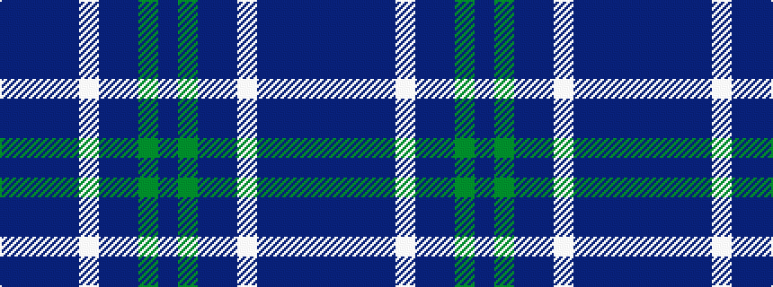 idealised woven sample of pattern BBBBWBBGB
