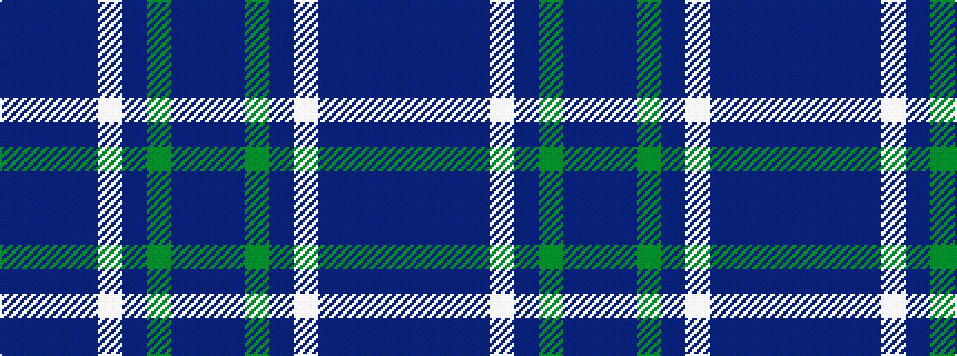 idealised woven sample of pattern BBBBWBGBB