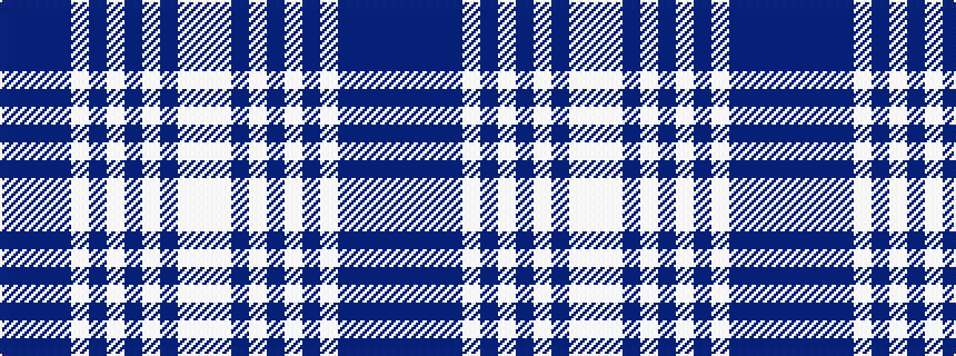 idealised woven sample of pattern BBBBWBWBWBWW