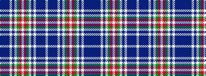 idealised woven sample of pattern BBBBWBWGRWRGWBWBBBBW