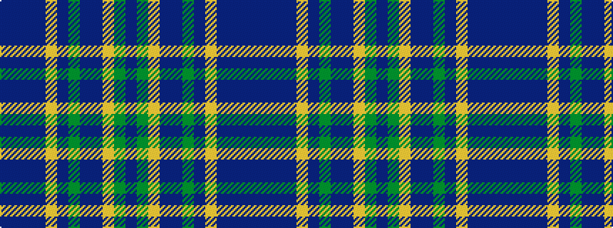 idealised woven sample of pattern BBBBYBGBBYGB