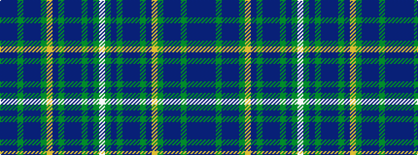 idealised woven sample of pattern BBBGBBBGYBGBBBGBGW