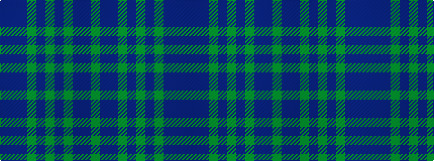 idealised woven sample of pattern BBBGBGBGBBG