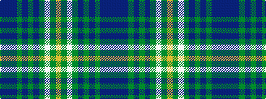 idealised woven sample of pattern BBBGBGBGWGY