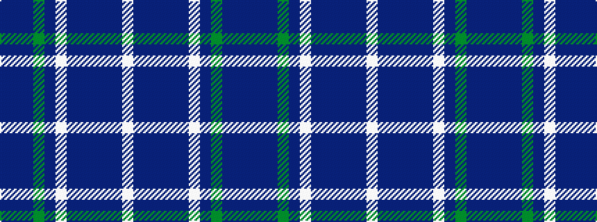 idealised woven sample of pattern BBBGBWBBBBBW
