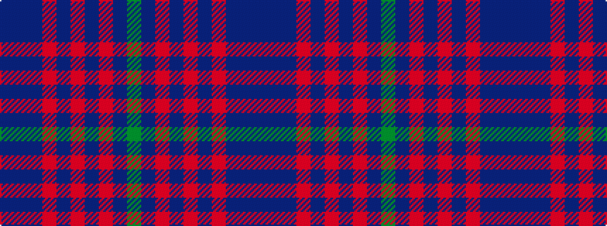 idealised woven sample of pattern BBBRBRBRBG