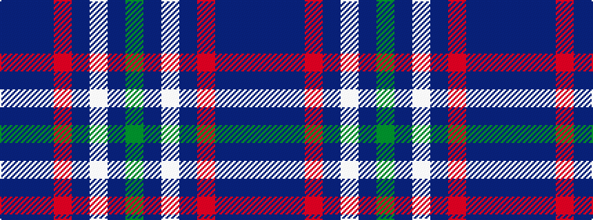 idealised woven sample of pattern BBBRBWBG