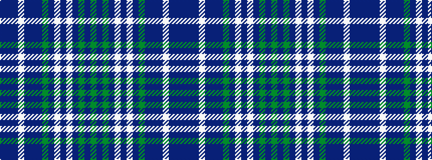 idealised woven sample of pattern BBBWBBBGBWBWBGBG