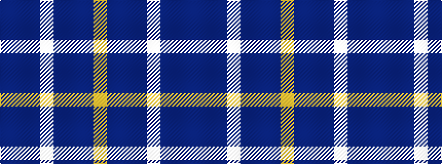 idealised woven sample of pattern BBBWBBBY