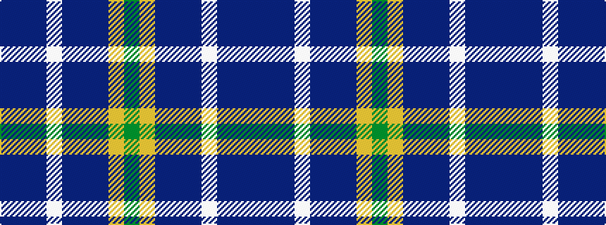 idealised woven sample of pattern BBBWBBBYG