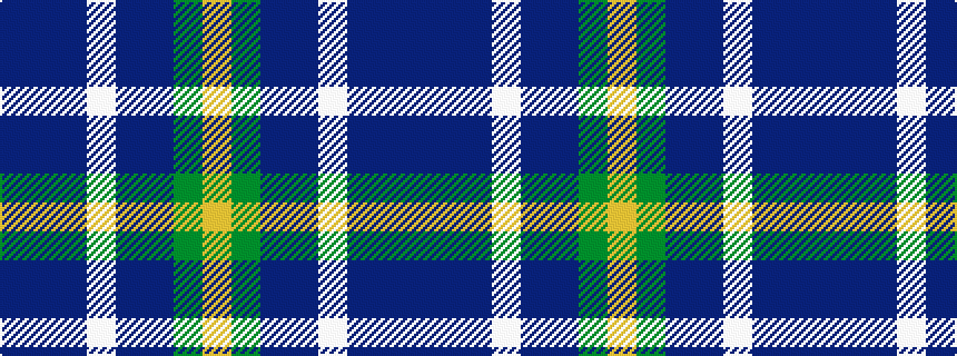 idealised woven sample of pattern BBBWBBGY