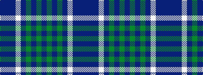 idealised woven sample of pattern BBBWBGBGB