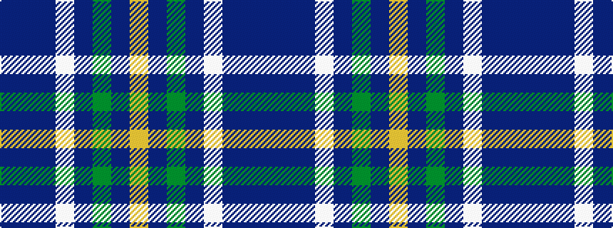 idealised woven sample of pattern BBBWBGBY