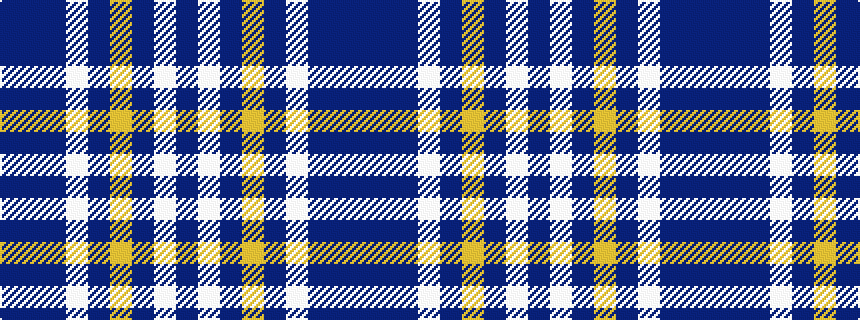idealised woven sample of pattern BBBWBYBWB