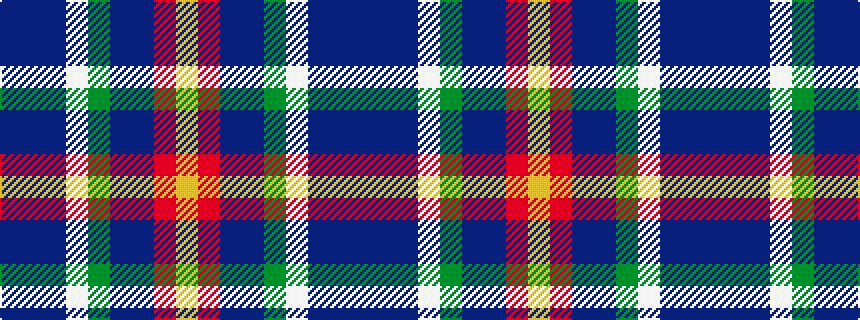 idealised woven sample of pattern BBBWGBBRY