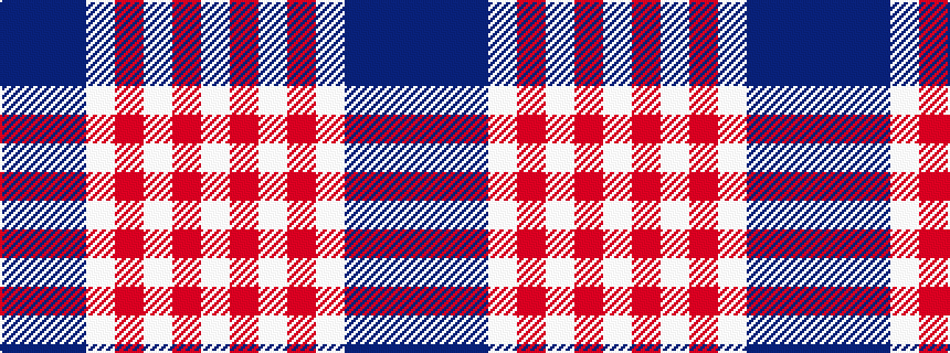 idealised woven sample of pattern BBBWRWRW