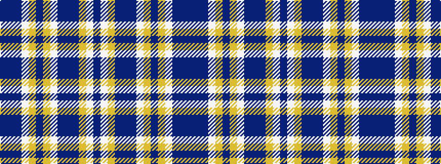 idealised woven sample of pattern BBBWYBYWBBBYWB