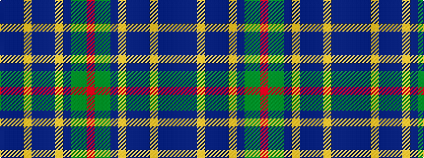 idealised woven sample of pattern BBBYBBBYBGGR