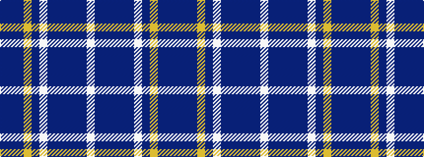 idealised woven sample of pattern BBBYBWBBBBBW