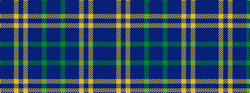 idealised woven sample of pattern BBBYBYBBBGBB