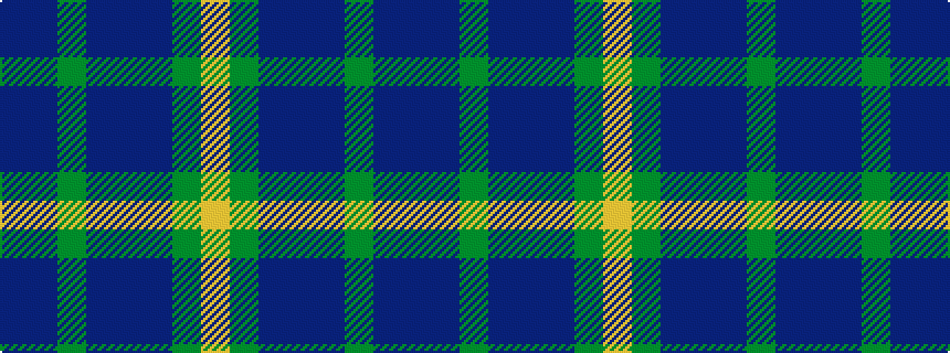 idealised woven sample of pattern BBGBBBGY