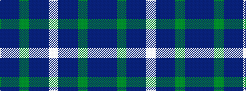 idealised woven sample of pattern BBGBBW