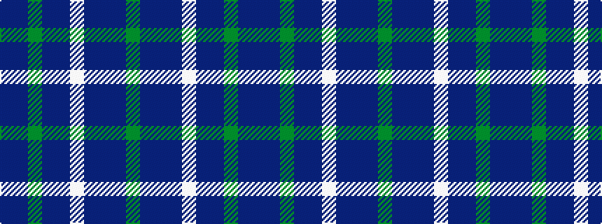 idealised woven sample of pattern BBGBBWBBBG
